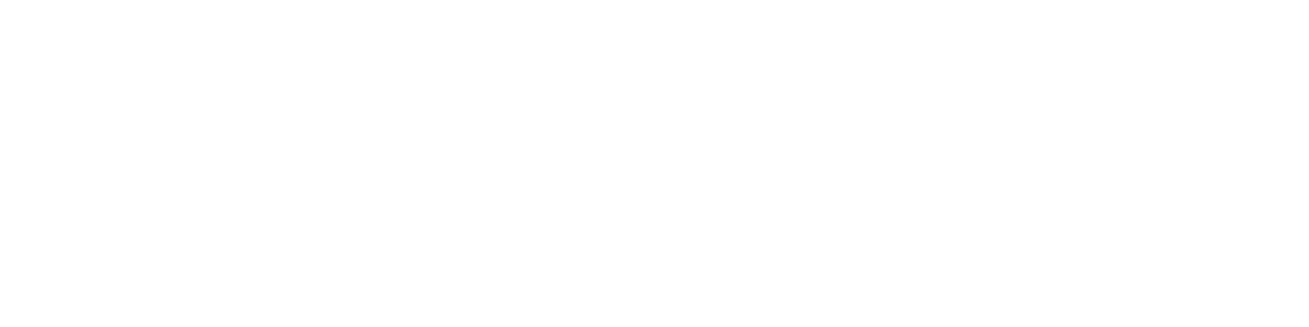 Partner Canal+