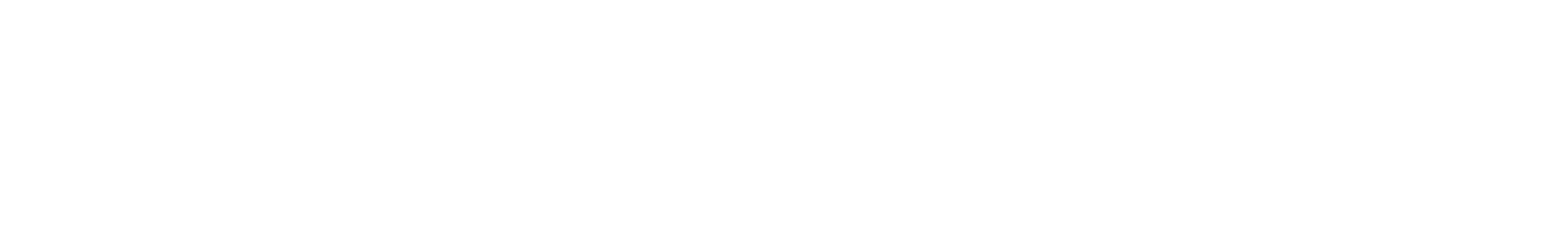 Partner logo-babolat